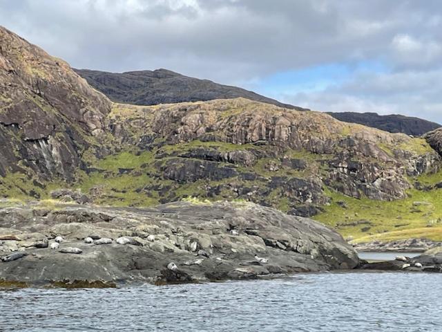 Waterfall View Milovaig Kültér fotó